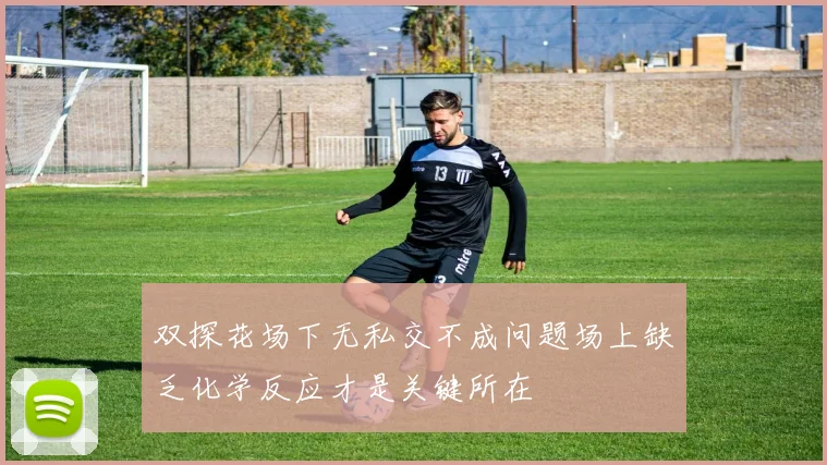 双探花场下无私交不成问题场上缺乏化学反应才是关键所在