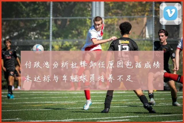 付政浩分析杜锋卸任原因包括成绩未达标与年轻球员培养不足